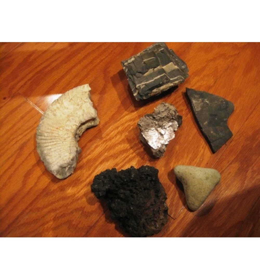 Instant Fossil/Rock Collection Lot 1